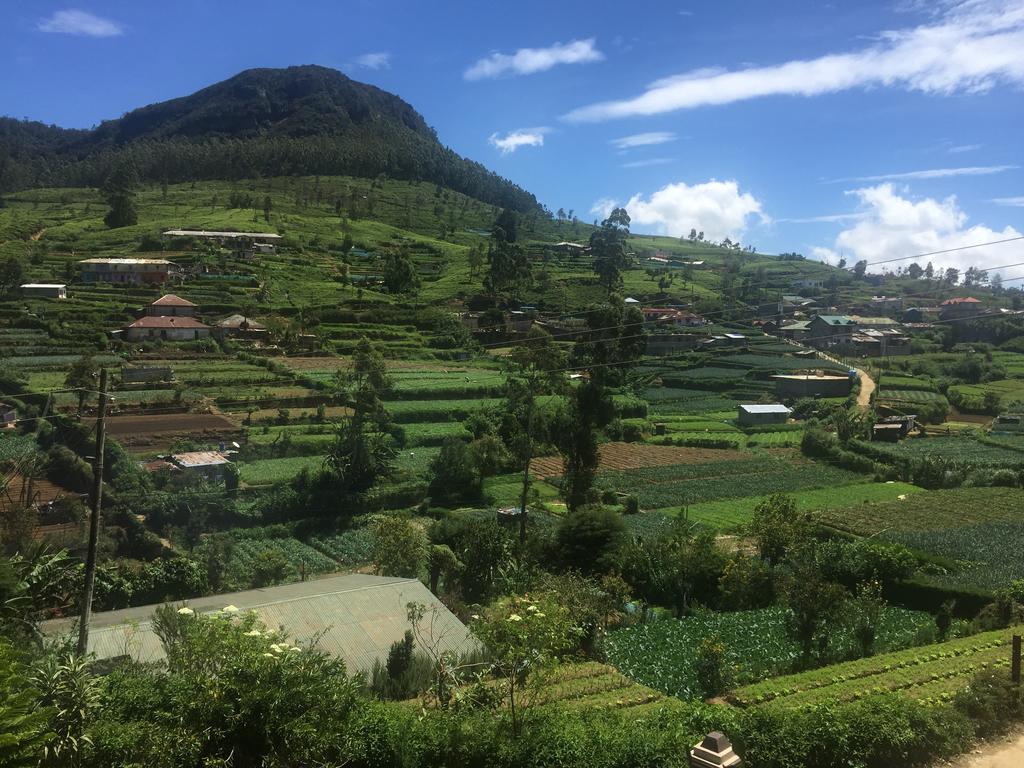 Perera Homestay Нувара-Элия Экстерьер фото